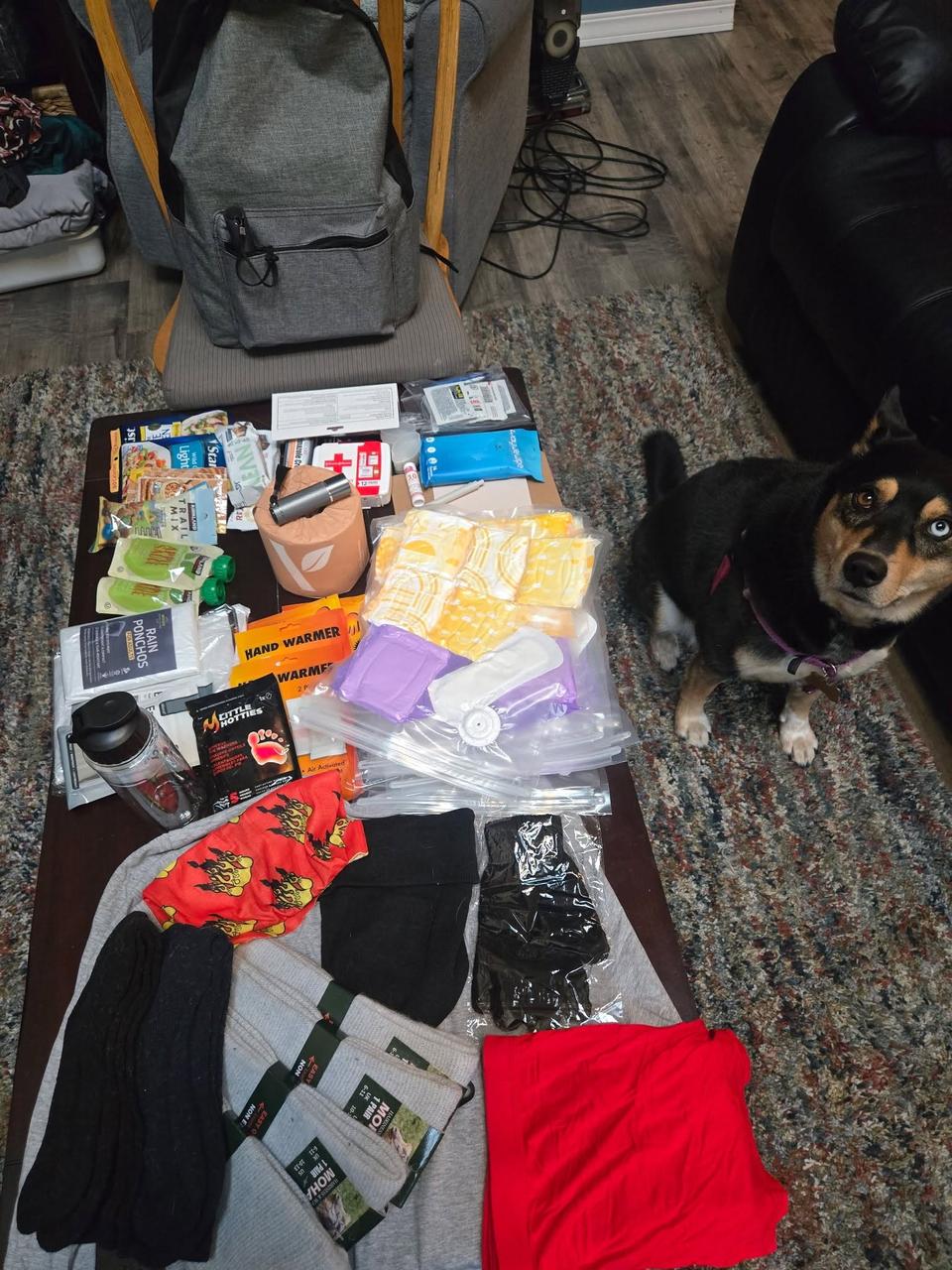 One backpack's worth of supplies laid out on the carpet before packing. A grey backpack stands upright against a wooden chair at the top; below it, rows of gear spread across a light blanket &mdash; packaged socks, orange hand warmers, snack packets, hygiene and first-aid items in clear zip bags, a folded red thermal layer, and a pair of flame-print boxers. A black dog with tan markings lies on the carpet to the right, leash on, looking up toward the camera. The photo is taken from above, looking straight down at the whole spread. The overall feel is abundant and homey &mdash; a large pile of practical care assembled by hand in a living room.